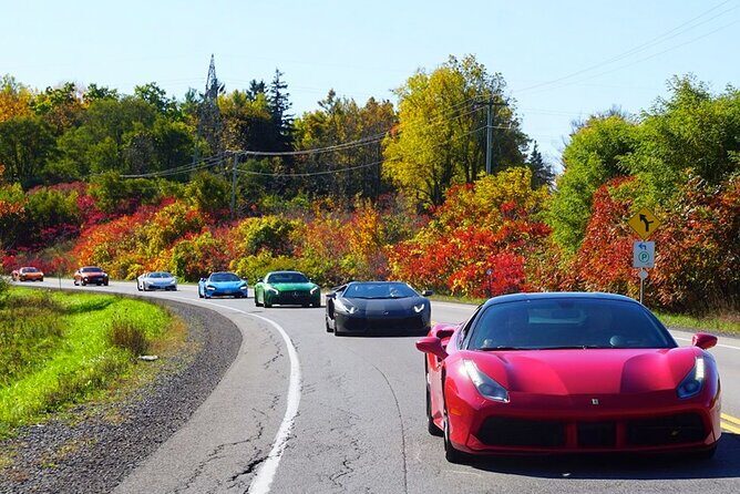 3 Hour Exotic car Tour driving 4 to 5 Super cars - Driving 4–5 Supercars Through Niagara: What 3 Hours Really Feels Like