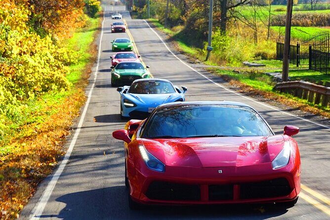 6 Hour Exotic Car Tour driving 6 Super cars + Lunch - Price and Value: Is $656.49 Worth It?