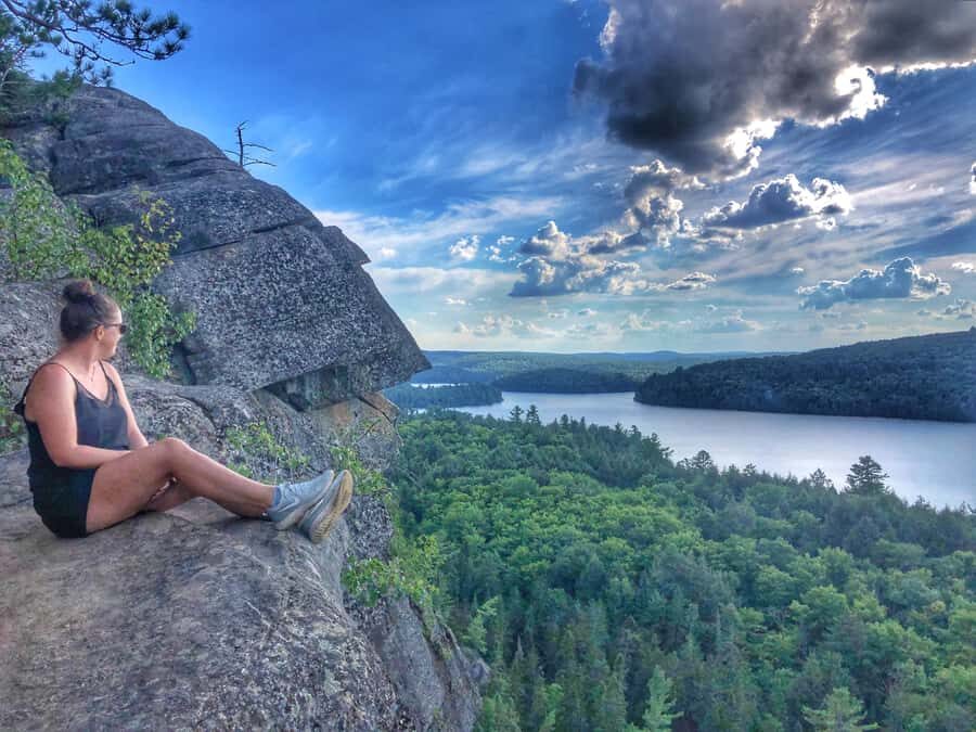 Algonquin Park Hiking: Adventure Tour from Toronto - Wildlife chances by season: moose timing without guarantees