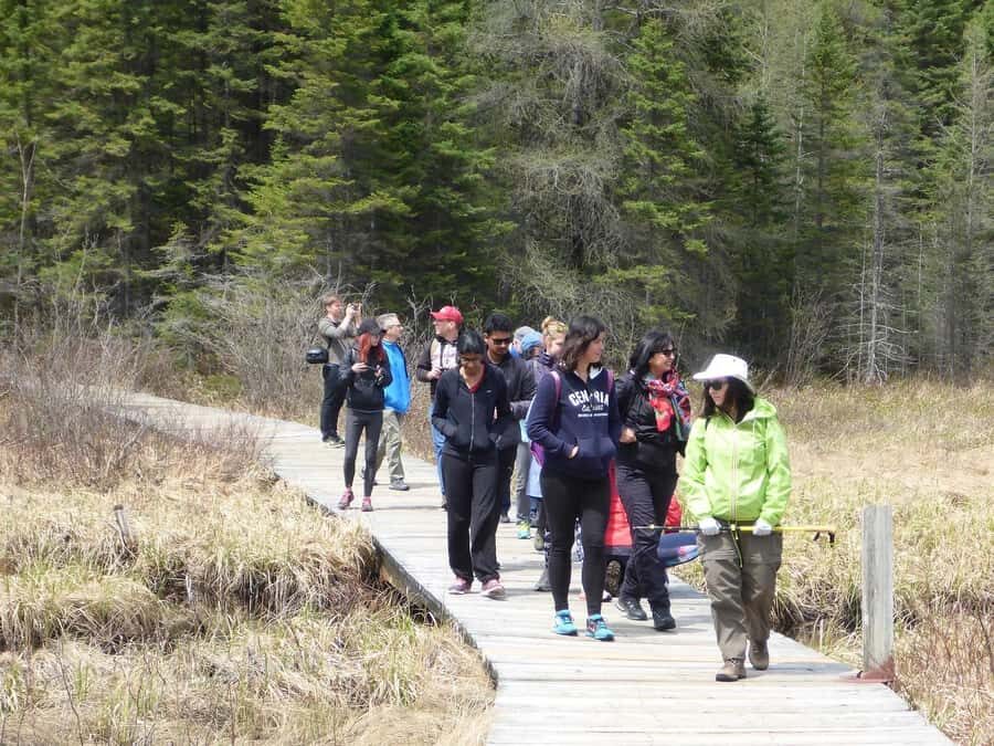 Algonquin Park Hiking: Adventure Tour from Toronto - What to pack and how to be ready for “rain or shine”