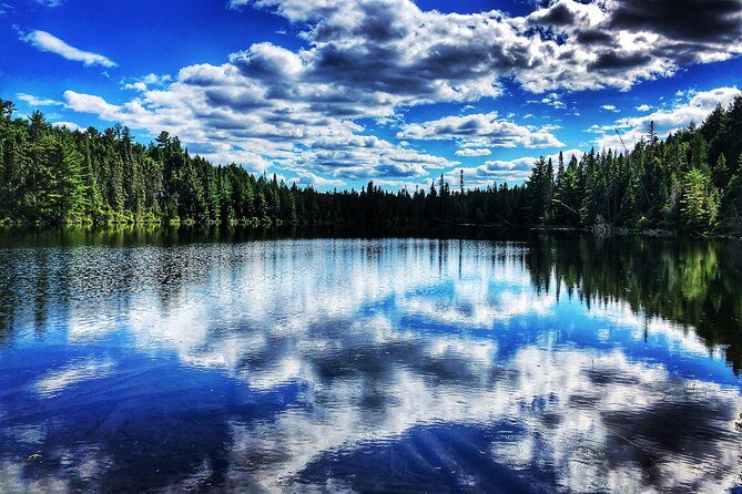 Algonquin Provincial Park Day Tour from Toronto - A smooth Toronto-to-Algonquin setup with a small van