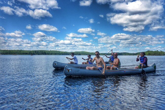 Algonquin Provincial Park Day Tour from Toronto - Beaver Pond Trail: a steady mid-day rhythm