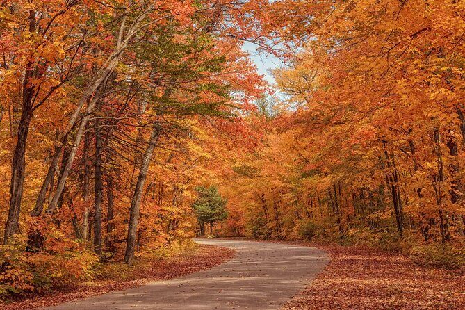 Algonquin Shuttle from Toronto - A Toronto-to-Algonquin Shuttle Built for Fall Hikes