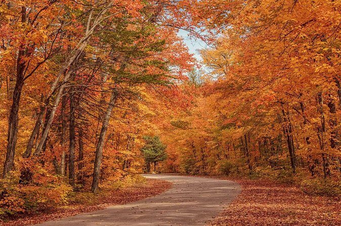 Algonquin Shuttle from Toronto - Time in Algonquin Provincial Park Before Big Pines