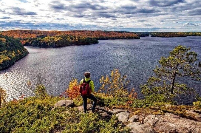 Algonquin Shuttle from Toronto - Big Pines Trail: 300-Year-Old White Pines and Interpretive Signs