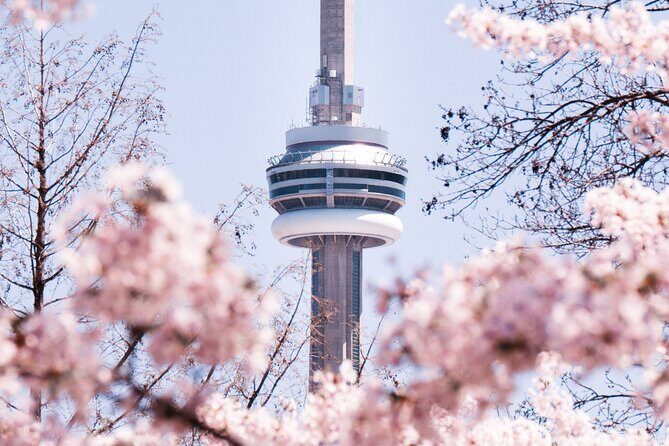 Best of Toronto City Tour with Boat Cruise & CN Tower - CN Tower First: The Tall Stop That Makes the Rest Easier