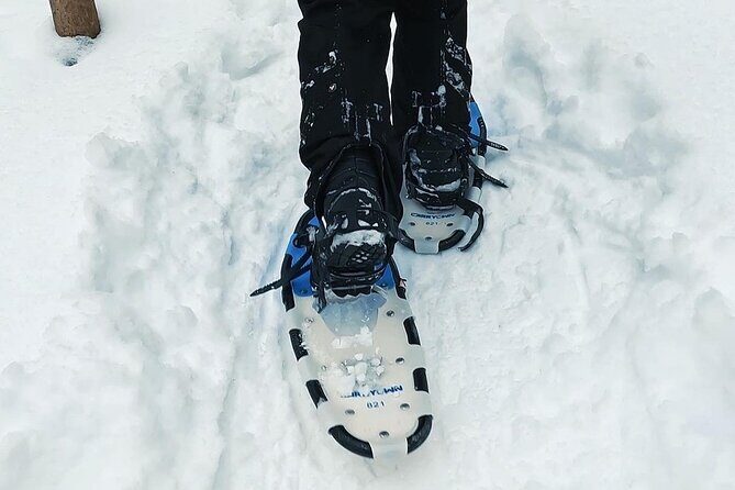 Blue Mountain and Scenic caves of Collingwood - Gear, effort level, and how to dress for this day