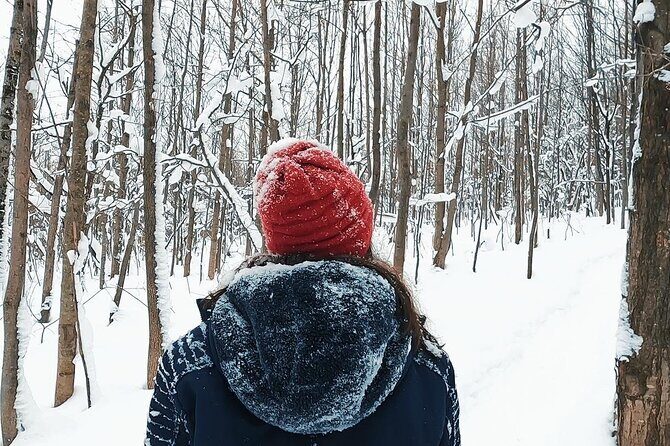 Blue Mountain and Scenic caves of Collingwood - Price and value: what’s included, what you’ll pay for yourself