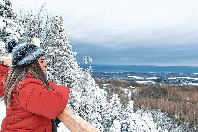 Blue Mountain and Scenic caves of Collingwood - Who this day trip suits best