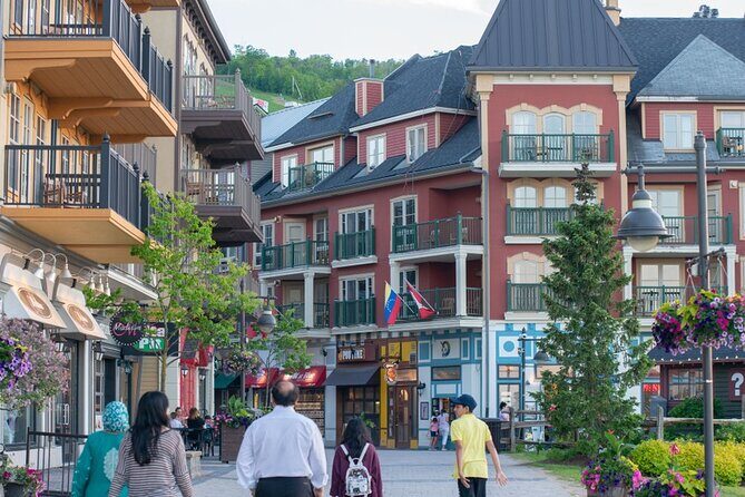 Blue Mountains Shuttle from Toronto – Village or Scenic Caves - The ride out and back: why the drive matters more than you’d think