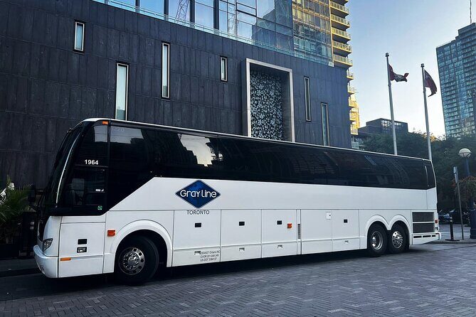 Blue Mountains Shuttle from Toronto – Village or Scenic Caves - Scenic Caves & Suspension Bridge: a different kind of Blue Mountains day