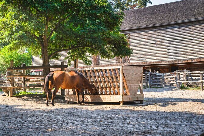 Cabbagetown In Colour: A Walking Tour of Toronto - Stop 3: Riverdale Farm, goats and horses, and the zoo-to-farm shift