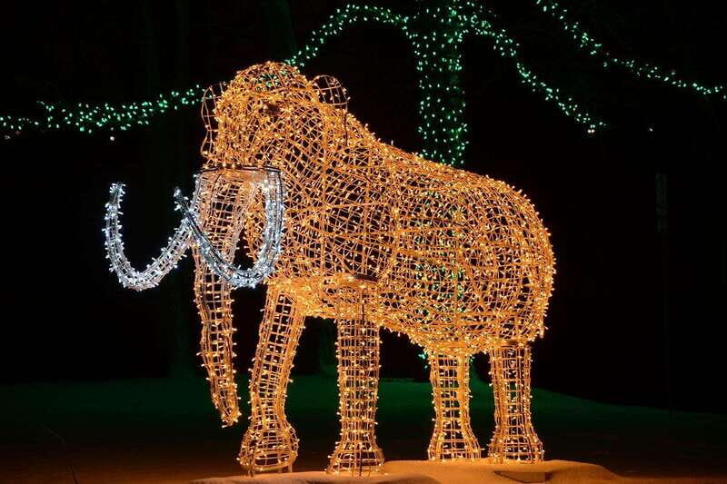 From Toronto: Winter Festival of Lights Niagara Falls Tour - Clifton Hill, Table Rock, and the Casino Area: Use Your Free Time Wisely