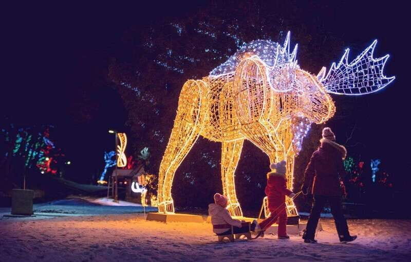 From Toronto: Winter Festival of Lights Niagara Falls Tour - Niagara Parkway Stops Before the Falls: Flowers, Power, and the Whirlpool View