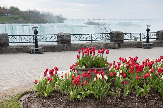 Full-Day Niagara Falls Tour from Toronto w/Boat/JBF/Tower - Floral Clock and the hydroelectric power stop: photos and perspective