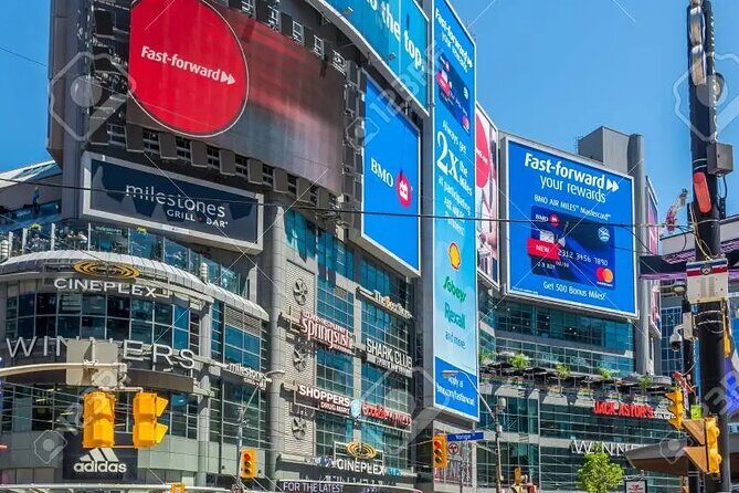 Half-Day Private Tour of Toronto with Pick Up - Toronto Harbour: waterfront time and boat-tour reality