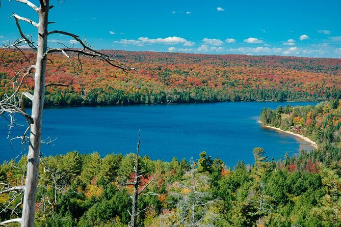 Lake Muskoka and Algonquin Small Group 1-Day Tour From Toronto - Toronto Departure: Pick-Up Details That Actually Matter