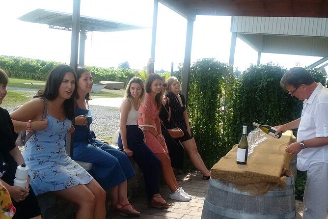 Luxury Wine Tours to Niagara On The Lake - Who should book this tour, and who might not