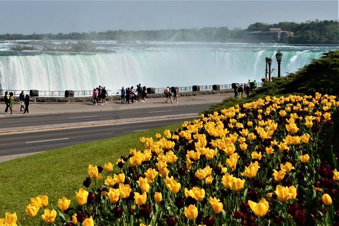 Niagara Falls and Niagara-on-the-Lake Day Tour from Toronto - From 55 York St at 8:30am: the ride that sets up your day