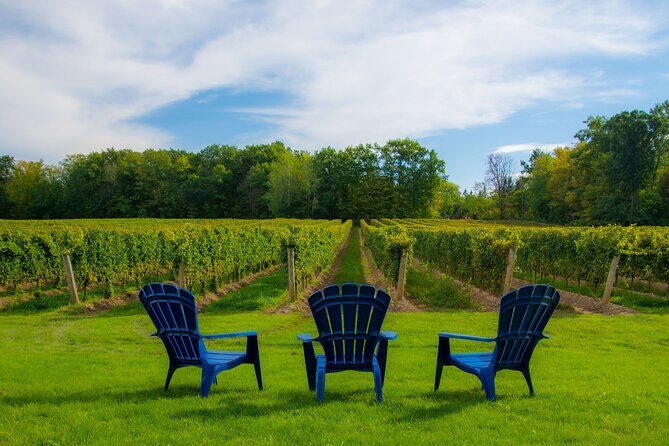 Niagara Falls Day Tour from Toronto (9 Hours) - Skip-the-line Niagara City Cruises or Journey Behind the Falls