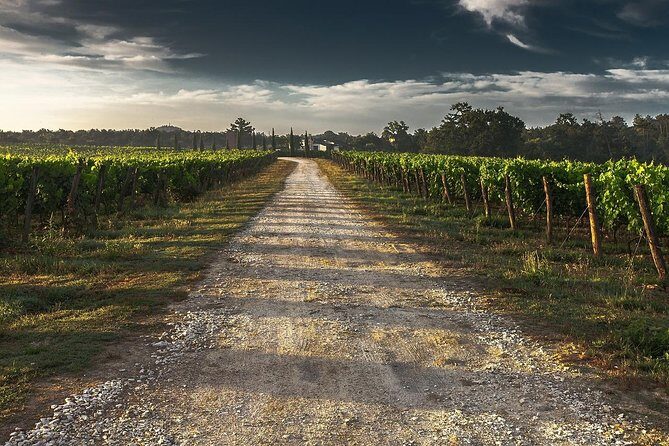 Private Customizable Niagara Day Trip/Wine Tour from Toronto - A customizable Niagara day that doesn’t waste your time
