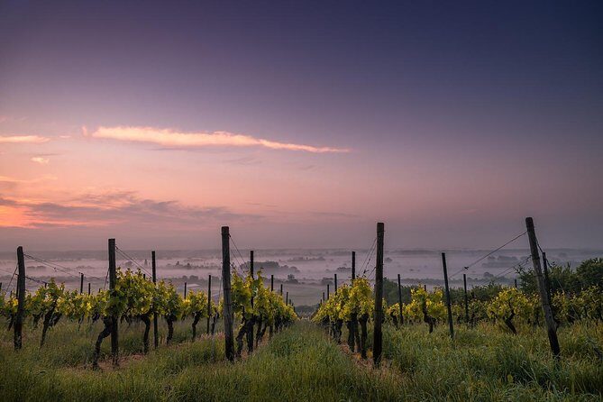 Private Customizable Niagara Day Trip/Wine Tour from Toronto - How the private guide experience shows up in real days