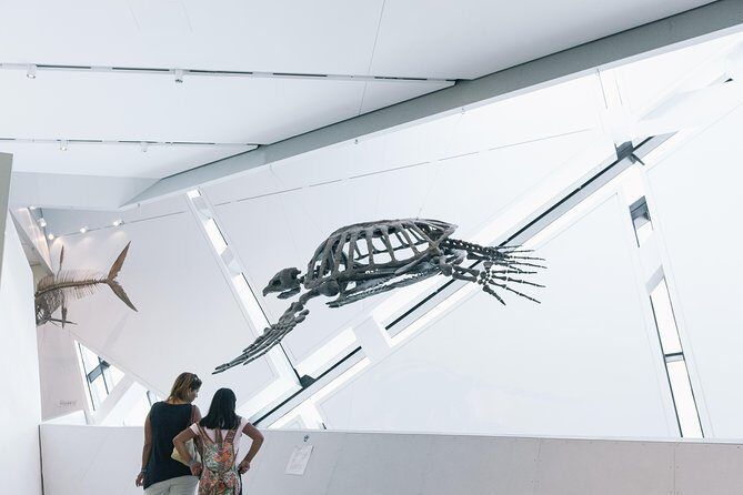 Royal Ontario Museum Admission - Stop: Royal Ontario Museum Highlights That Usually Land for Both Adults and Kids