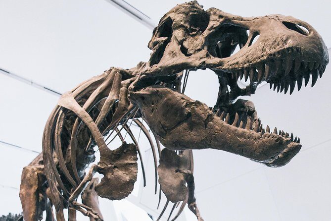Royal Ontario Museum Admission - Your 3–4 Hour ROM Game Plan: How to See Enough Without Rushing