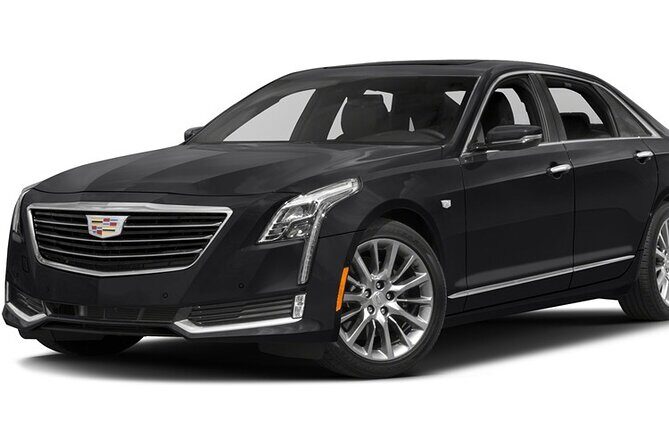 Toronto Airport Private Arrival Transfer-YYZ to Toronto Downtown - Getting Your Luggage Situation Right