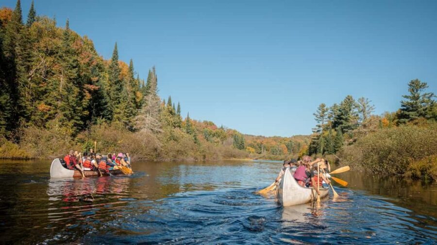 Toronto: Algonquin Park and Ragged Falls Day Trip - Key highlights that make this day trip worth it
