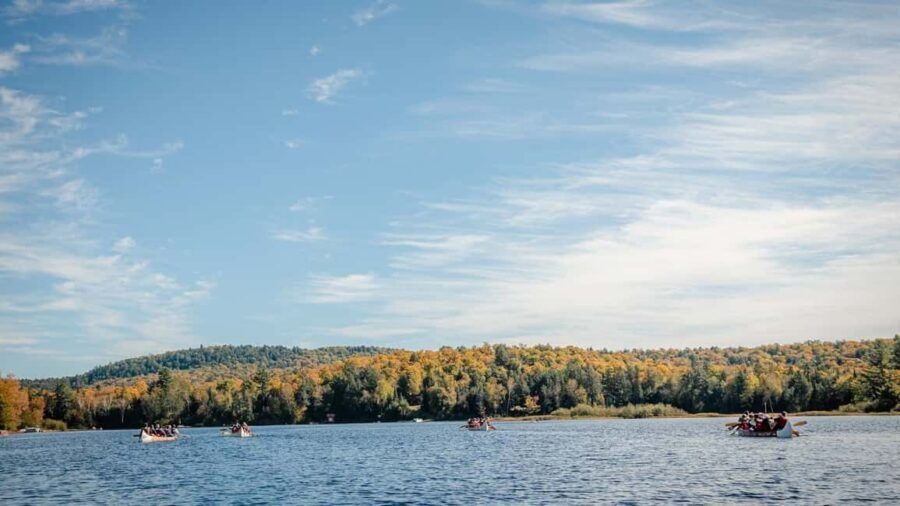 Toronto: Algonquin Park and Ragged Falls Day Trip - From Yorkdale to Algonquin Park: how the day actually moves