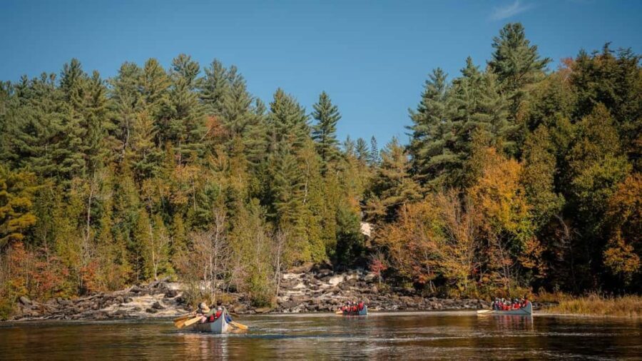 Toronto: Algonquin Park and Ragged Falls Day Trip - Ragged Falls: the waterfall moment you feel before you can plan for it