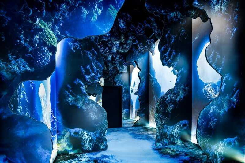 Toronto: Arcadia Earth, Immersive Experience Anytime Ticket - Small group pace: limited to 10 participants, English host, and a calmer start