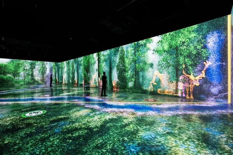 Toronto: Arcadia Earth, Immersive Experience Anytime Ticket - Any time ticket strategy: making a 1-day experience fit your schedule