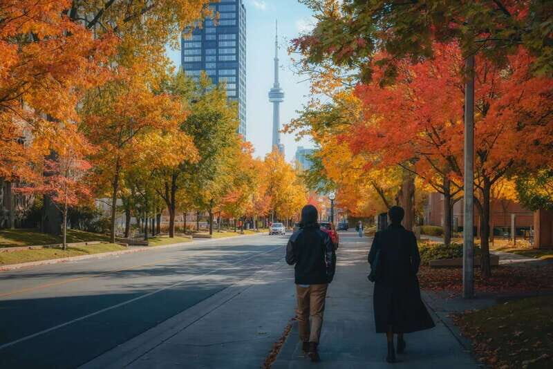 Toronto: City Highlights Walking Tour | 3-Hour - David Pecaut Square and John Street: Downtown Crossroads, Told Like a Story