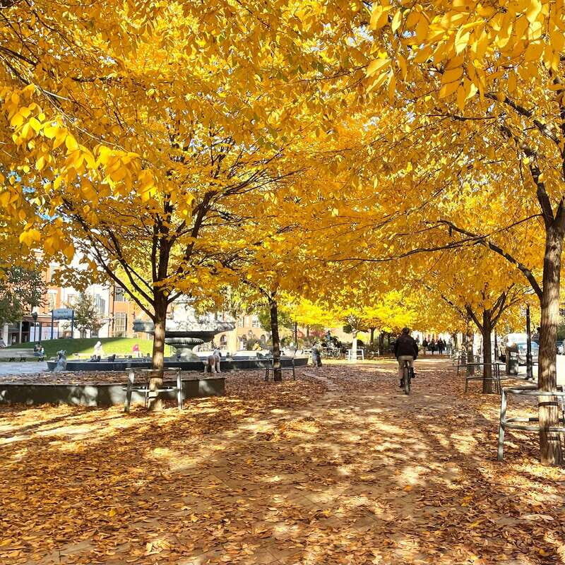 Toronto: City Walking Tour - Starting at Roy Thomson Hall: your bearings in the first 20 minutes