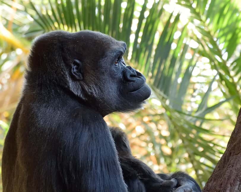 Toronto CityPASS®: Save up to 38% at 5 Top Attractions - Toronto Zoo: Make It a Full Day (And Choose Your Timing)