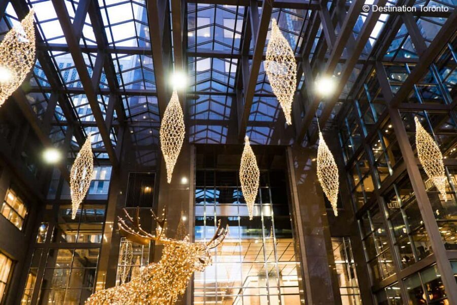Toronto: Festive Lights Bus Tour - Cozy extras and weather reality: what changes outside