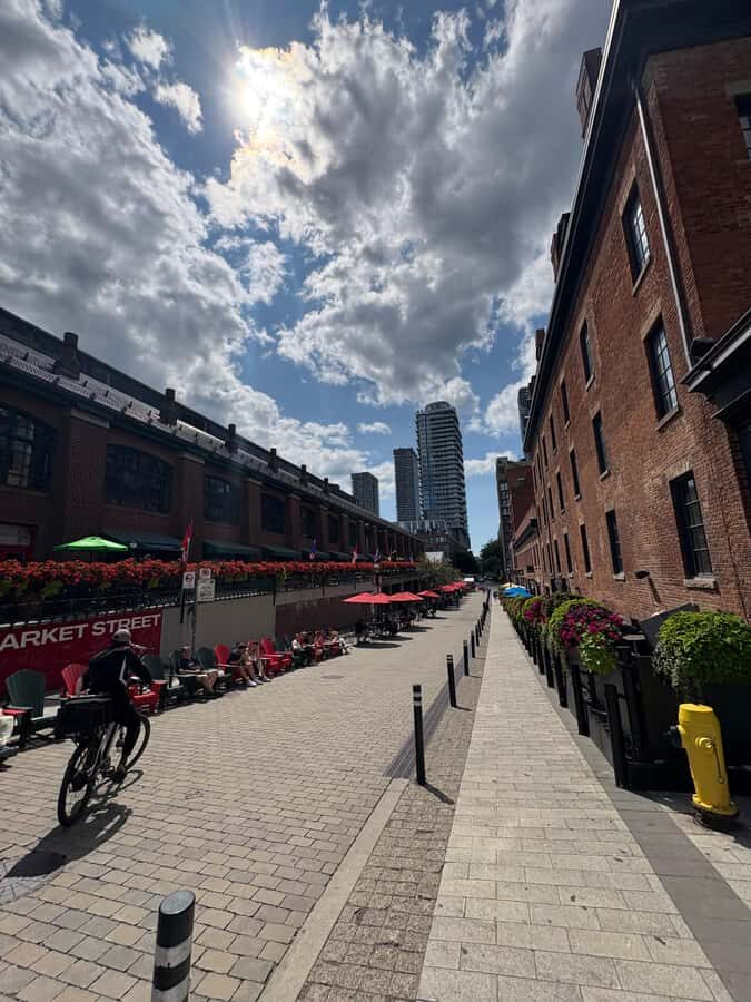 Toronto: Great White North Food Tour - BeaverTails by the Waterfront: Dessert Finish With a View