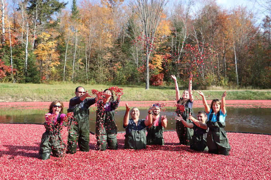 Toronto: Muskoka Cranberry Farm and Hardy Lake Hike - Hardy Lake Provincial Park hike: how the guide helps you pick the right route