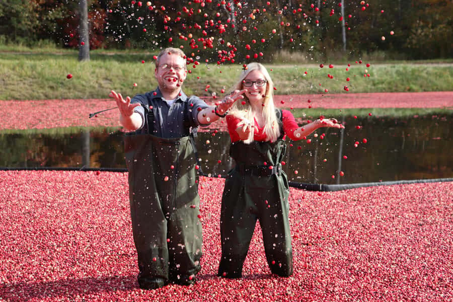 Toronto: Muskoka Cranberry Farm and Hardy Lake Hike - Getting started at Yorkdale TTC Passenger Pick-up (and the one snag)