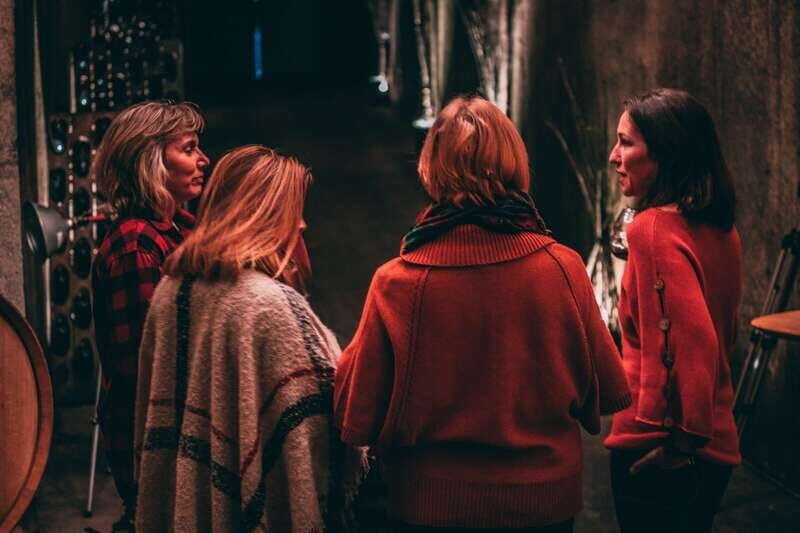 Toronto: Niagara Wineries Tasting Tour & Optional Lunch - Lunch, Free Time, and How to Pace Your Tastings