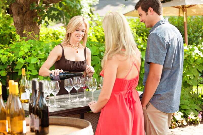 Toronto: Niagara Wineries Tasting Tour & Optional Lunch - Who This Tour Suits Best (and Who Should Think Twice)