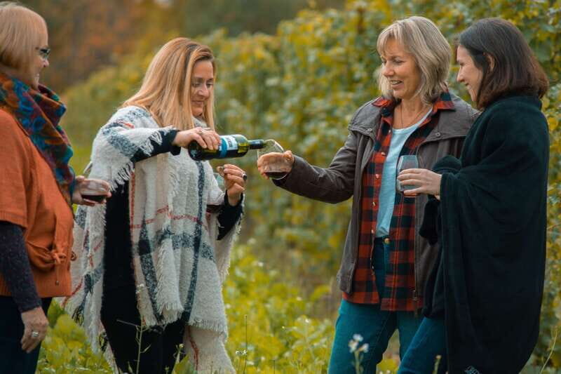 Toronto: Niagara Wineries Tasting Tour & Optional Lunch - The Small-Group Winery Plan: Tastings at 2–4 Stops