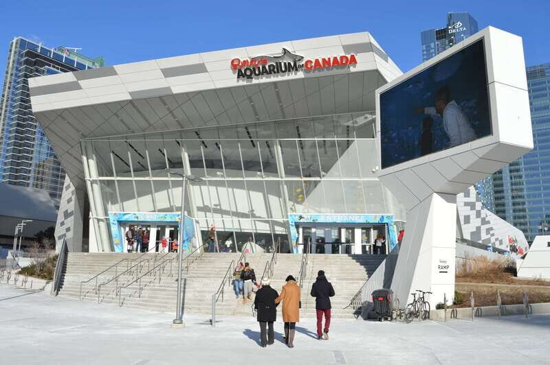 Toronto: Ripley's Aquarium of Canada Entry Ticket - Why Ripley’s Aquarium Tickets Feel Like Good Value in Toronto