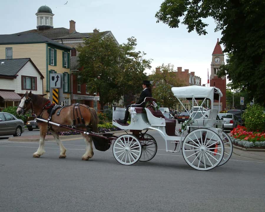 Toronto: Small-Group Niagara Falls Day Trip - The Real Itinerary Flow (Stop by Stop)