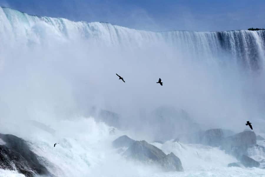 Toronto: Small-Group Niagara Falls Day Trip - Who This Tour Is Best For (and Who Might Prefer Another Plan)