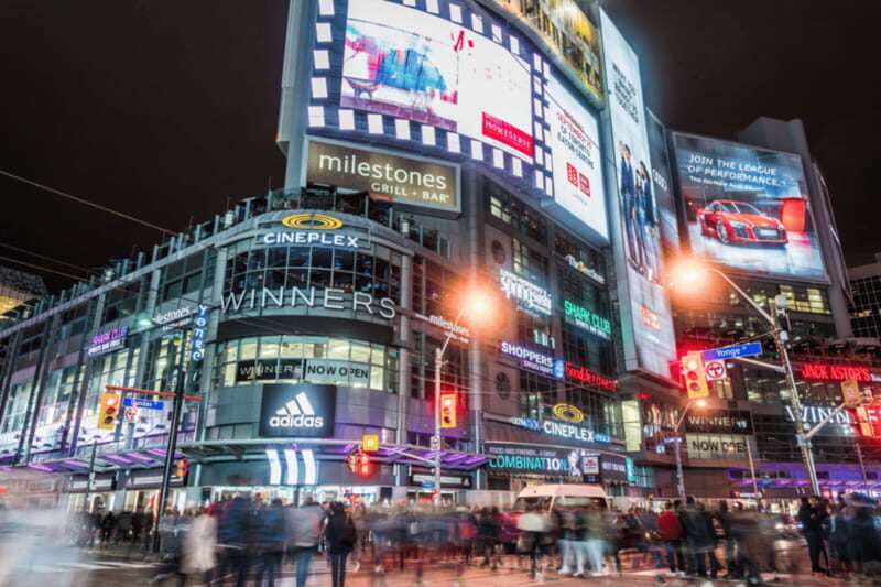 Toronto: Small Group Night Tour with Harbour Boat Cruise - Should you book this Toronto night tour?