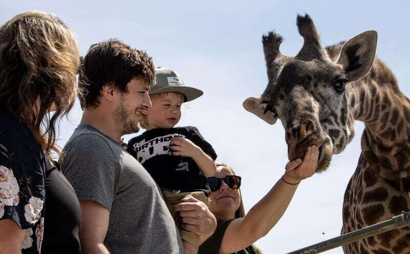 Toronto: Toronto Zoo Entry Ticket - Toronto Zoo Entry Ticket: Canada’s Largest Zoo in One Day