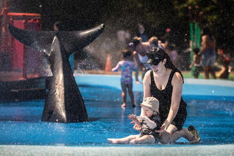 Toronto: Toronto Zoo Entry Ticket - 3,000+ Animals and 300+ Species: How to Set Expectations